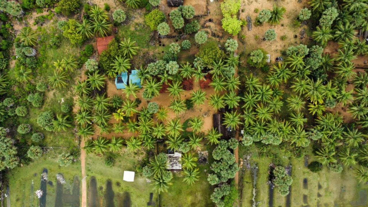 קלפיטייה Araliya Villa מראה חיצוני תמונה